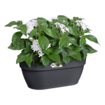 vibia campana mural 35cm anthracite